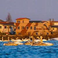 سرخ رود
